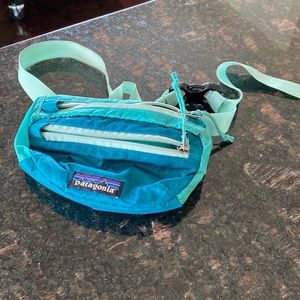 Patagonia Ultralight Black Hole Mini Hip Pack Fanny Pack 1L